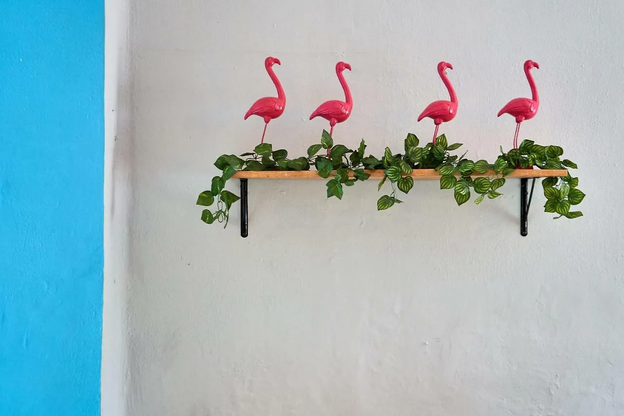 Hostal Americana Guadalajara Hostel